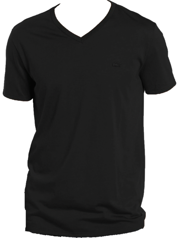 Stallion Mark Men’s V-Neck T-Shirts